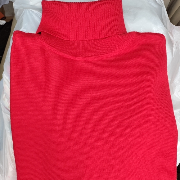 Pendleton | 100% Merino Wool Red Turtleneck Size S - Picture 1 of 3